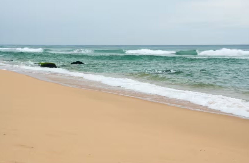 Bassein Beach , , India
